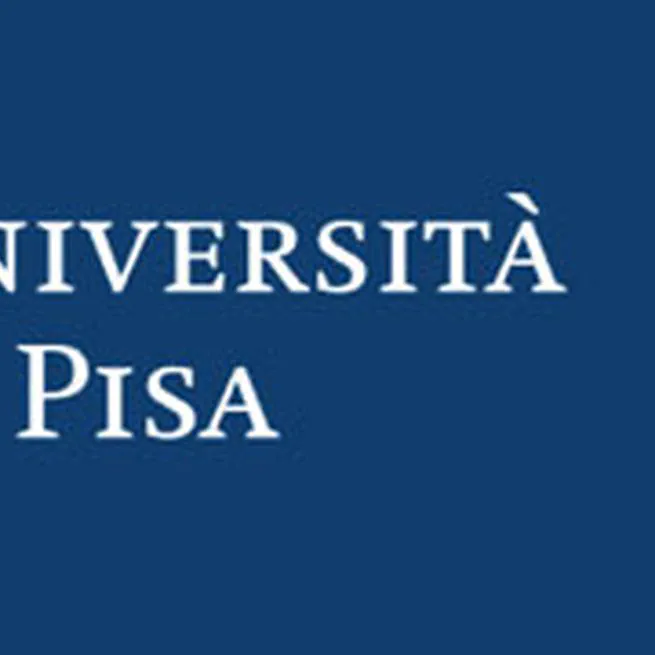 Theory of Mind and Analogy