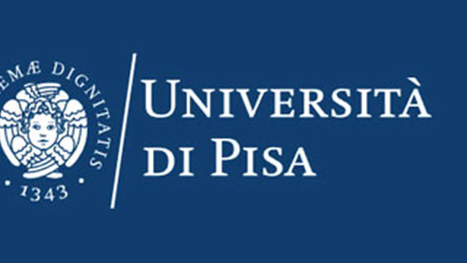 Theory of Mind and Analogy